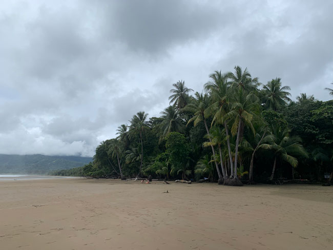 Stranden Uvita Costa Rica